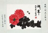 齐来欢 花卉