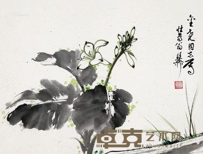 谢稚柳 玉簪花 34.5×45cm