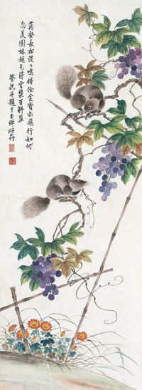 蔡铣 葡萄松鼠