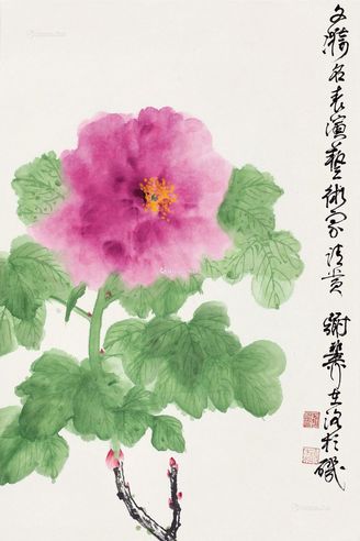 谢稚柳 芙蓉花