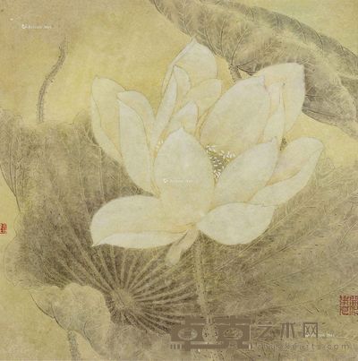 叶芃 荷花 33×33cm