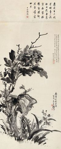 释达受 花卉