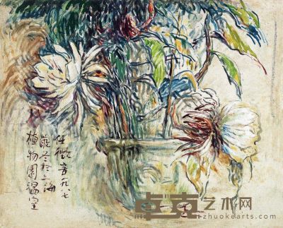 任微音 1987年作 上海植物园温室盆花 油彩 画布 50×60cm