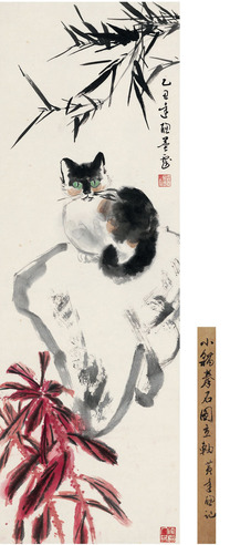 黄达聪 猫