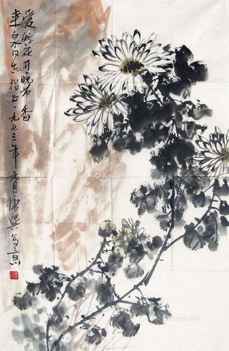 康师尧 秋菊