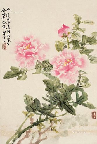 张雪父 牡丹