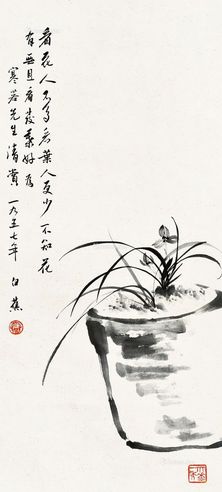 白蕉 兰花