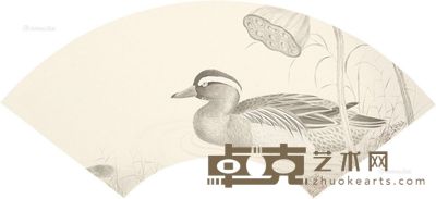 杨立奇 春江水暖鸭先知 17×46cm
