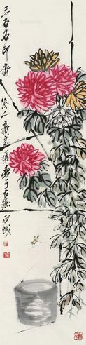 齐良迟 菊花