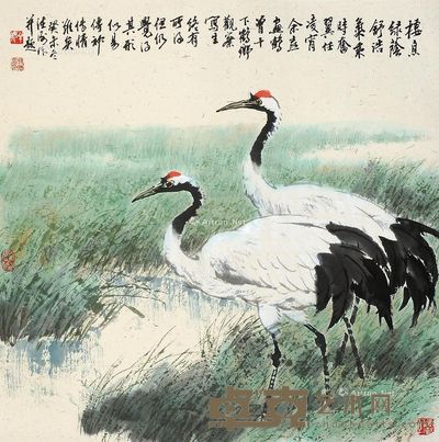 杨德衡 鹤 68×68cm