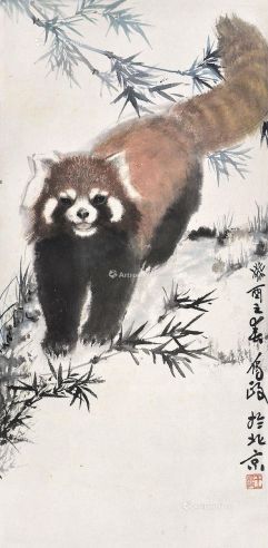 王为政 小熊猫