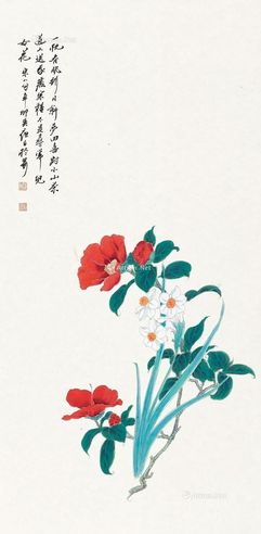 赵夜白 山茶花