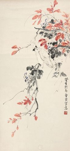 康师尧 红叶鹦鹉