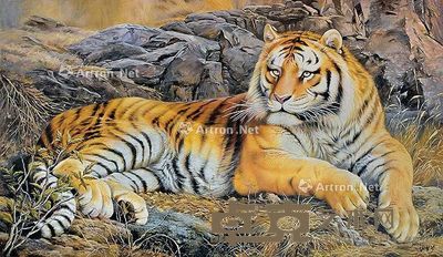 杨形各 卧虎 94×164cm