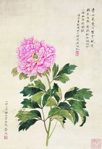 吴湖帆 花卉