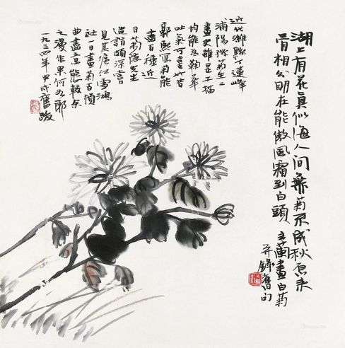 潘主兰 白菊