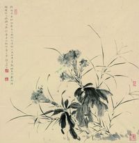 王法 鸡冠花