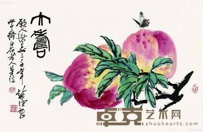 徐纯原 大寿 47×69cm