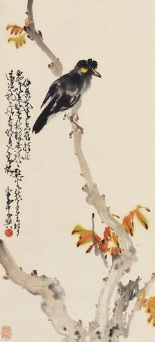 赵少昂 秋枝栖禽