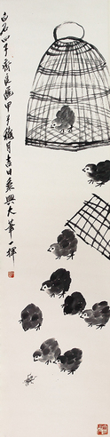 齐良迟  幼鸡