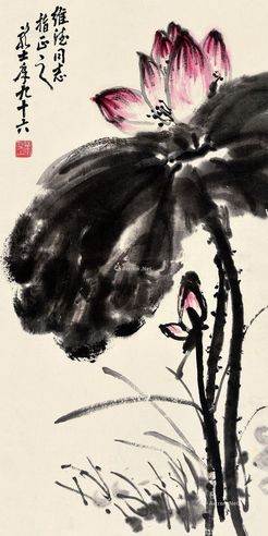 萧龙士 荷花