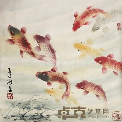 罗鼎华 鱼图 镜片 设色纸本 68×68cm