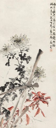 马万里 菊花