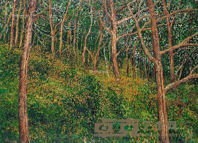 谢山 后山坡 63×88cm