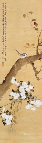 王师子 菊花小鸟