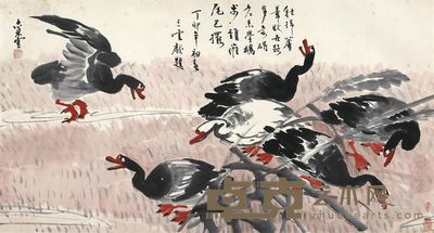 杨襄云 芦雁图 68×126.5cm