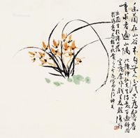 白蕉 兰花