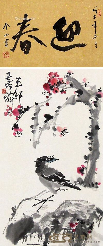  43×25cm