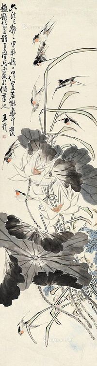 王礼 荷塘小鸟