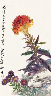 钱瘦铁   鸡冠花