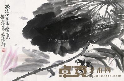 董希源 荷花 44×67cm