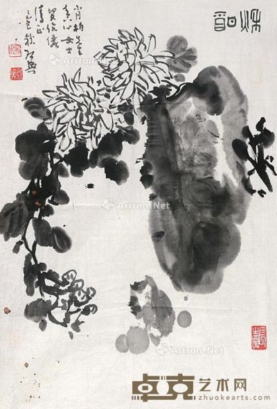 杨启与 菊石图 65×44cm