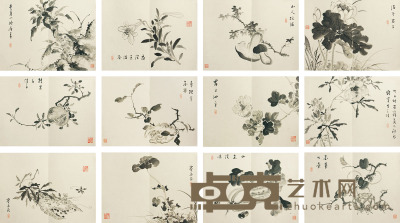 赛金花 花卉 30×41×12