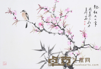 王纤 桃红又一年 68x46cm