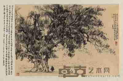 杨建侯 通什榕树 镜心 27×39cm
