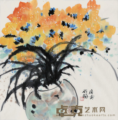 石兰 兰花