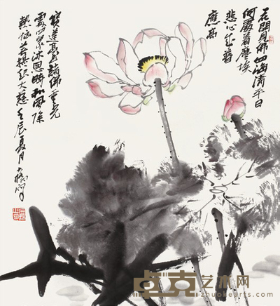 石桥 花卉