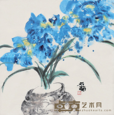 石兰 兰花