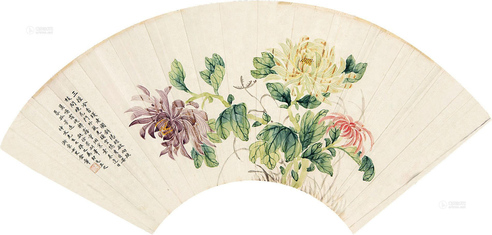 金章 秋菊 扇片
