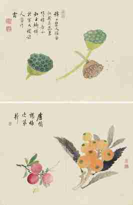 王旼 花果册 册页 （六开选二）