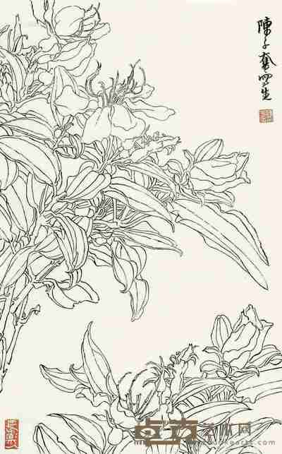 陈子奋 白描花卉 立轴 54×33cm