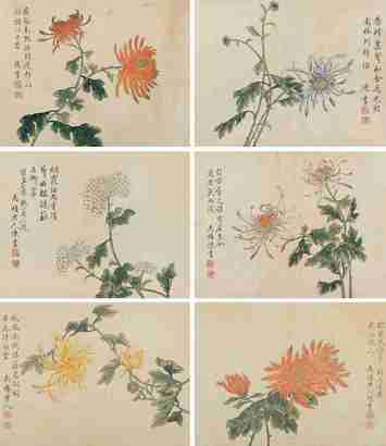 陈书 花卉册 册页
