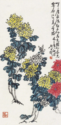 娄师白 菊花