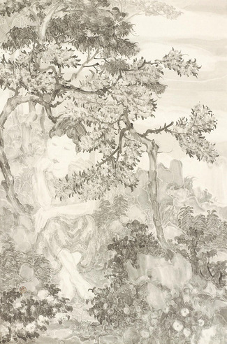 谭雷鸣 美人