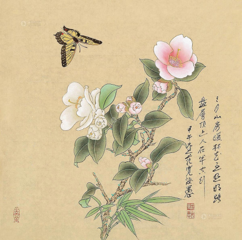 范汝愚 花卉 镜心