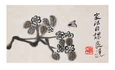 齐良迟 花卉